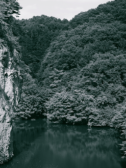 P7140456-_thumb.png