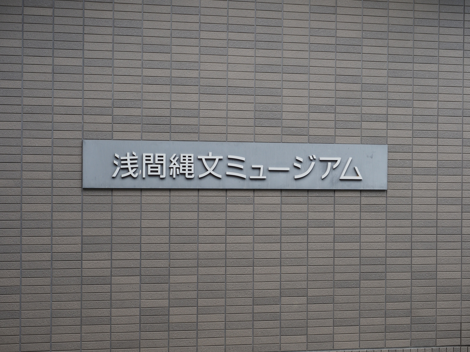 P7140465.jpg