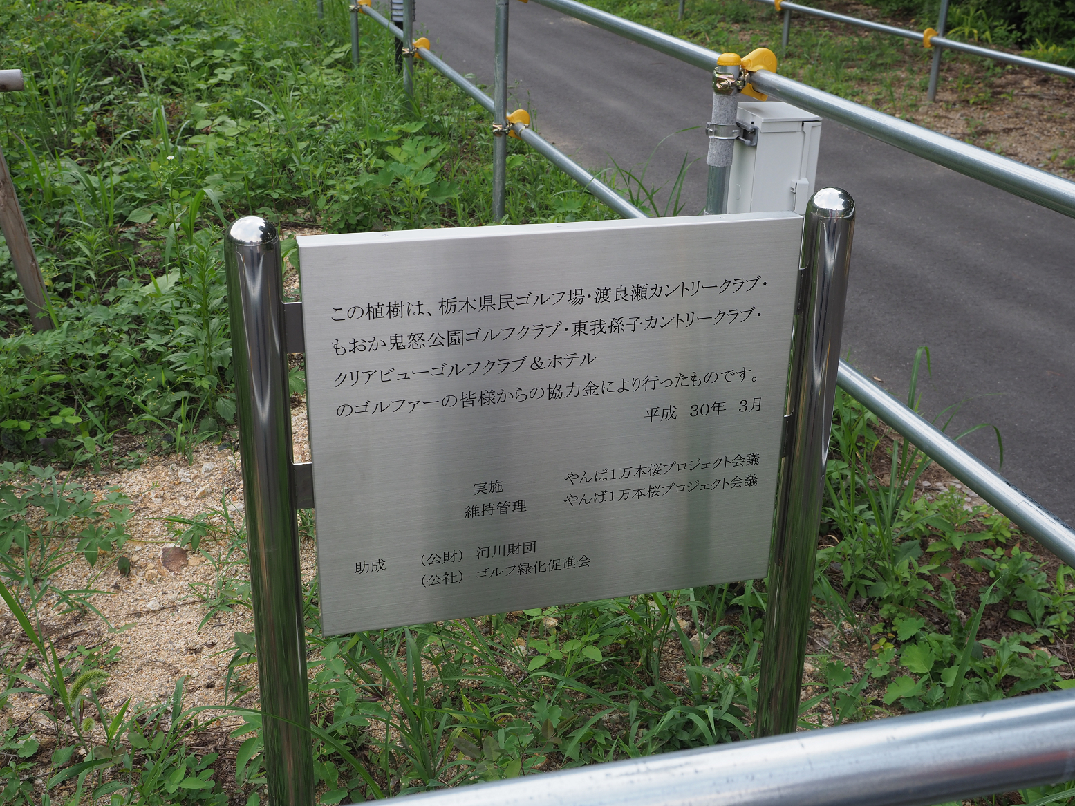 P7210562.jpg
