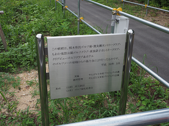 P7210562_thumb.png