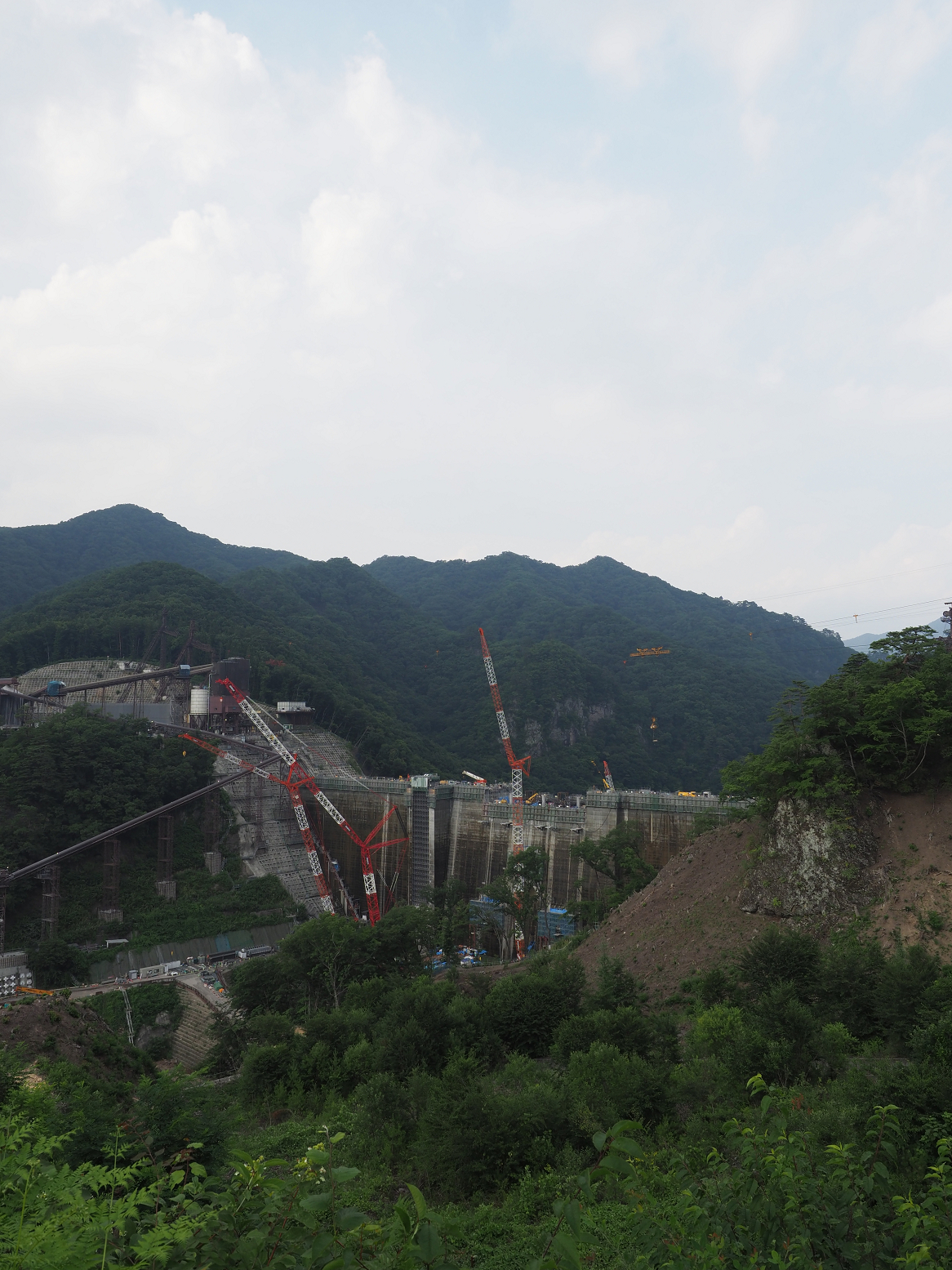 P7210564.jpg