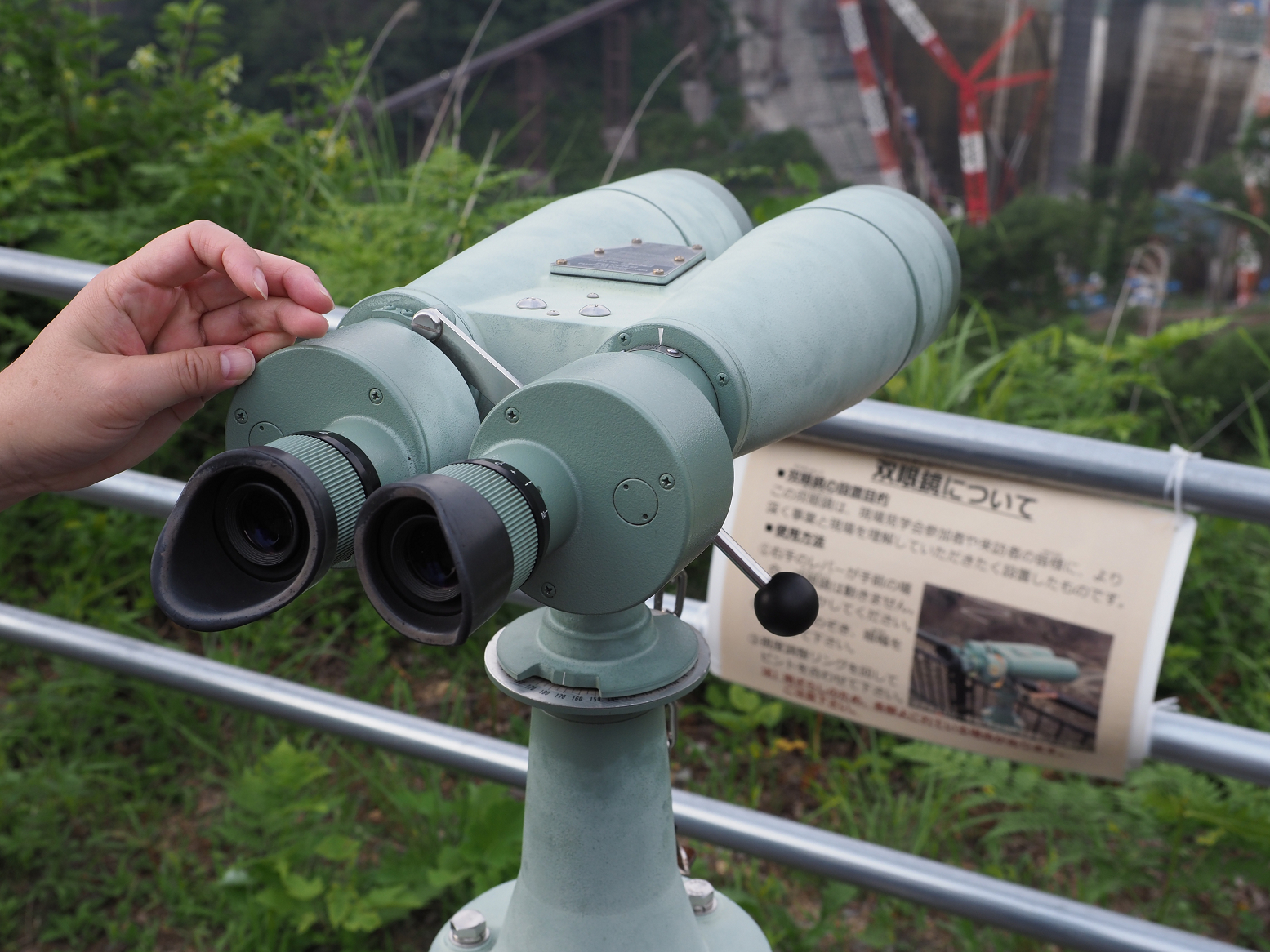 P7210572.jpg