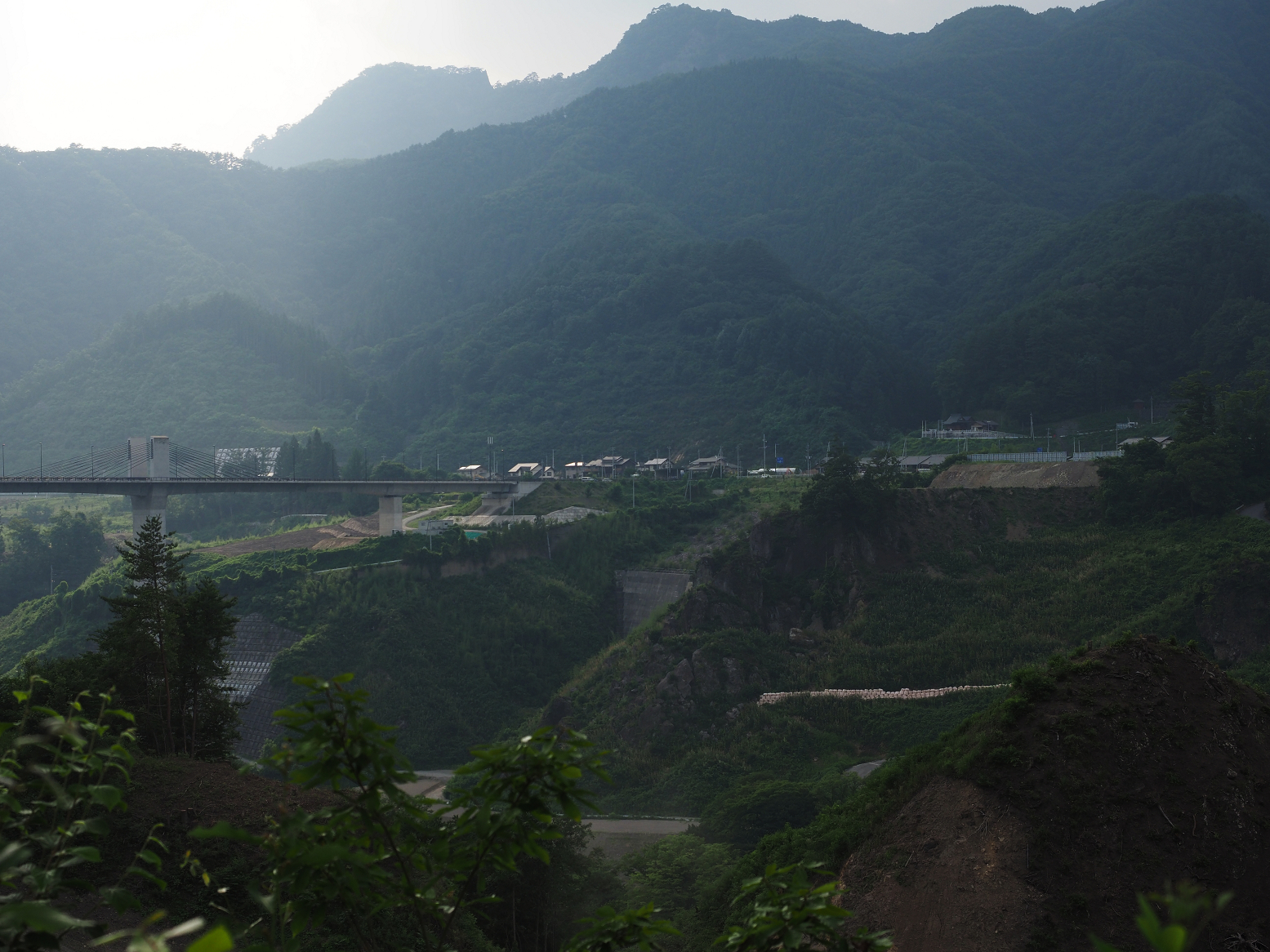 P7210578.jpg