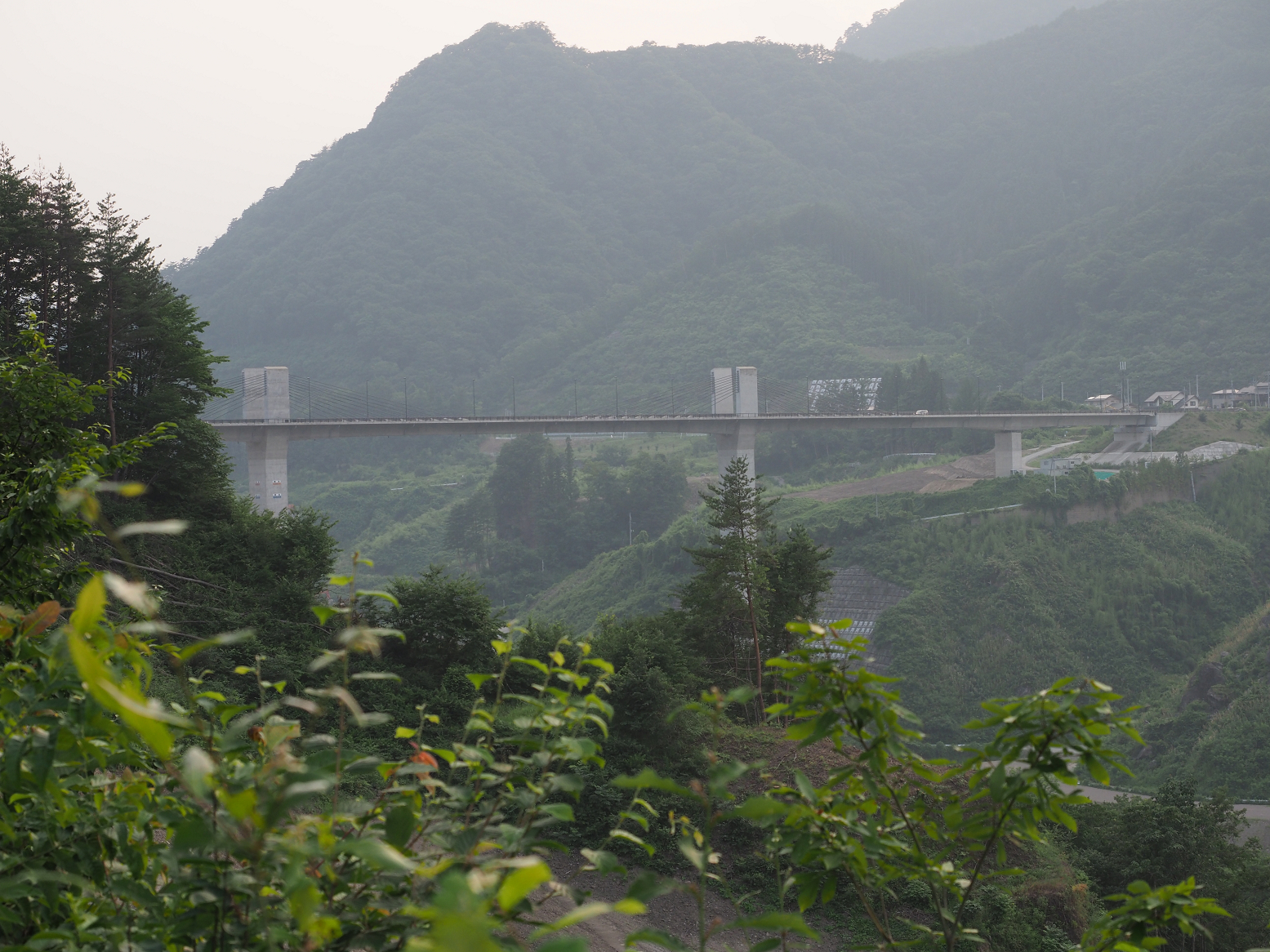 P7210589.jpg