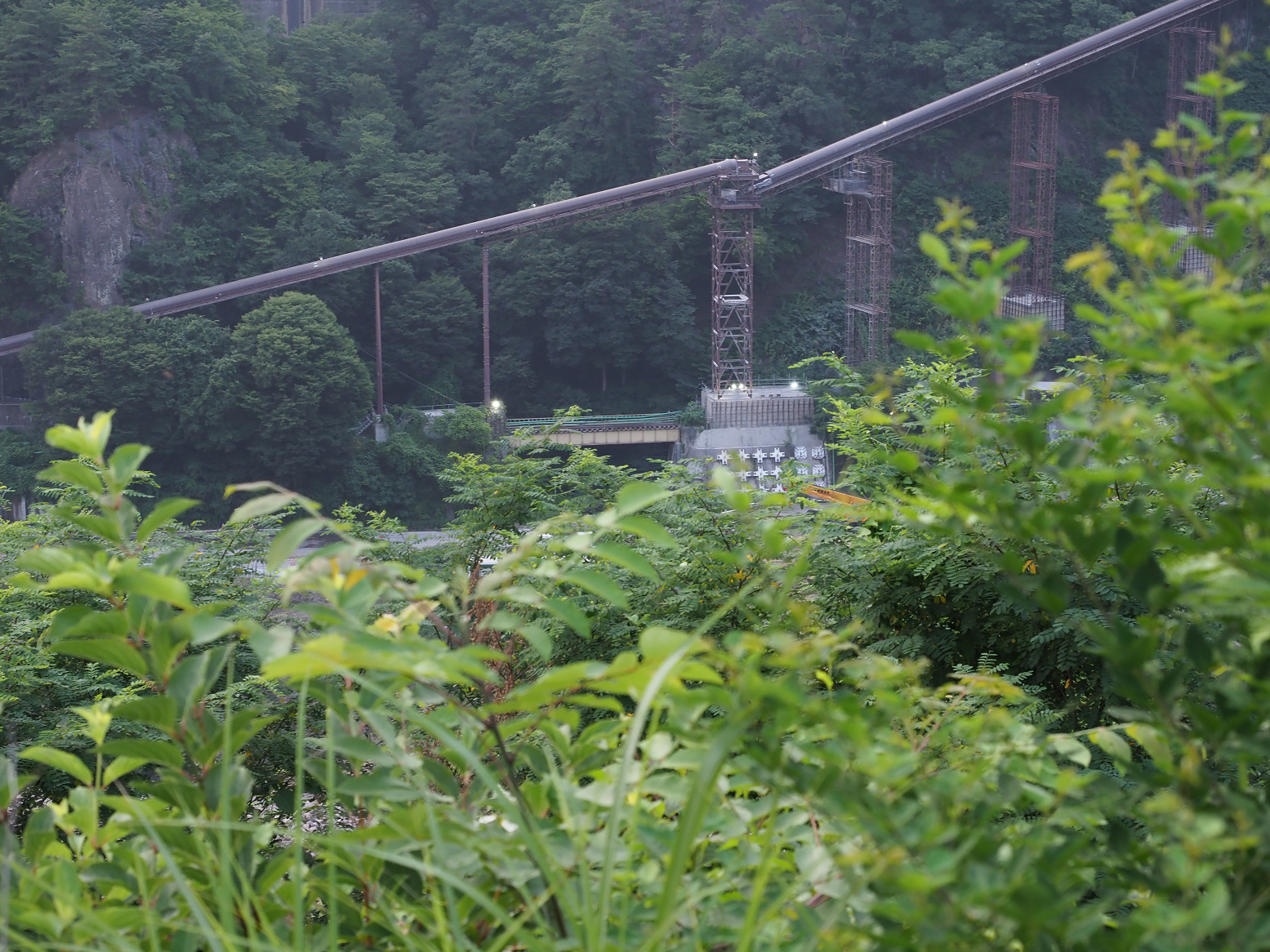 P7210590.jpg
