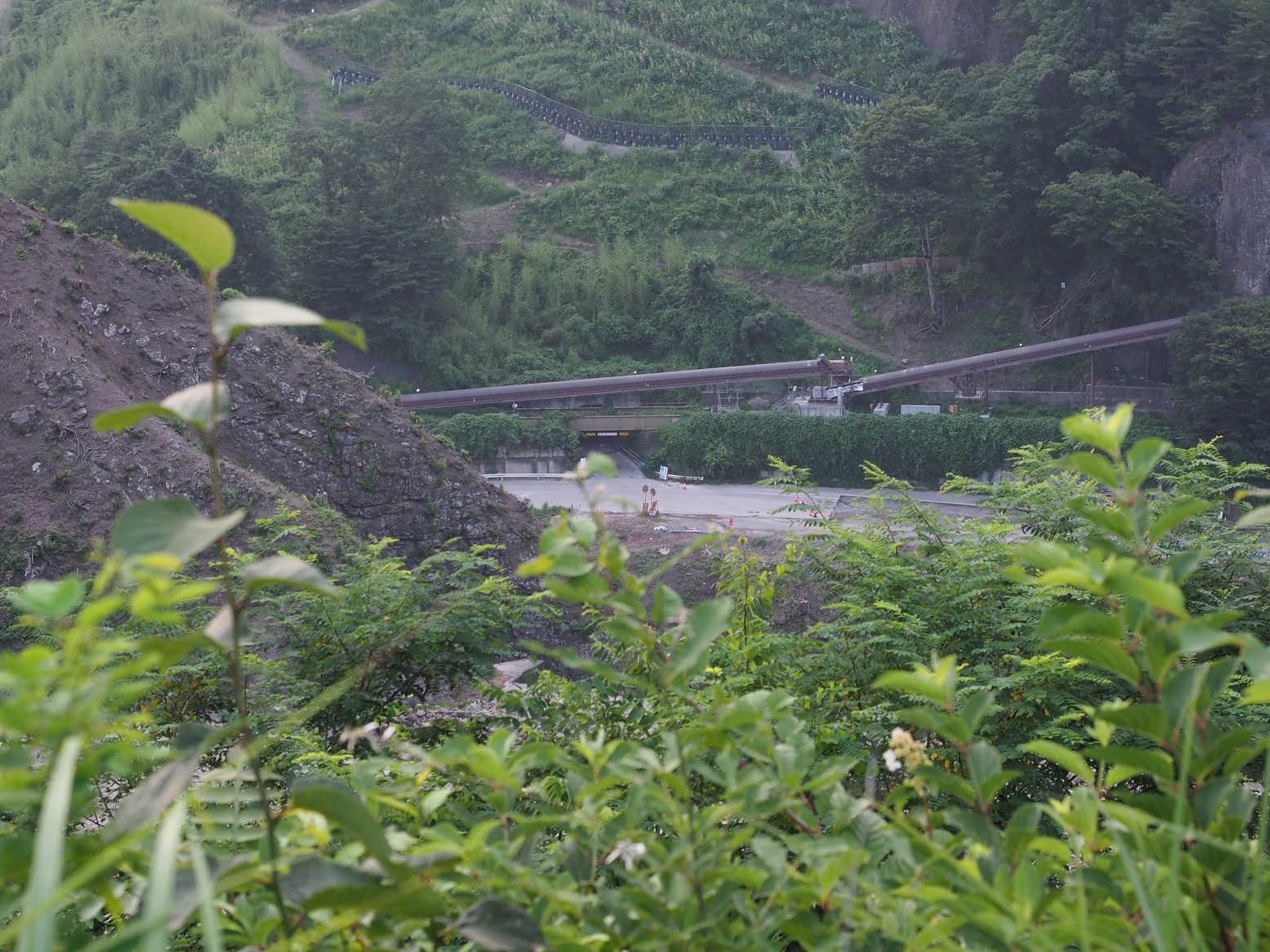 P7210591.jpg