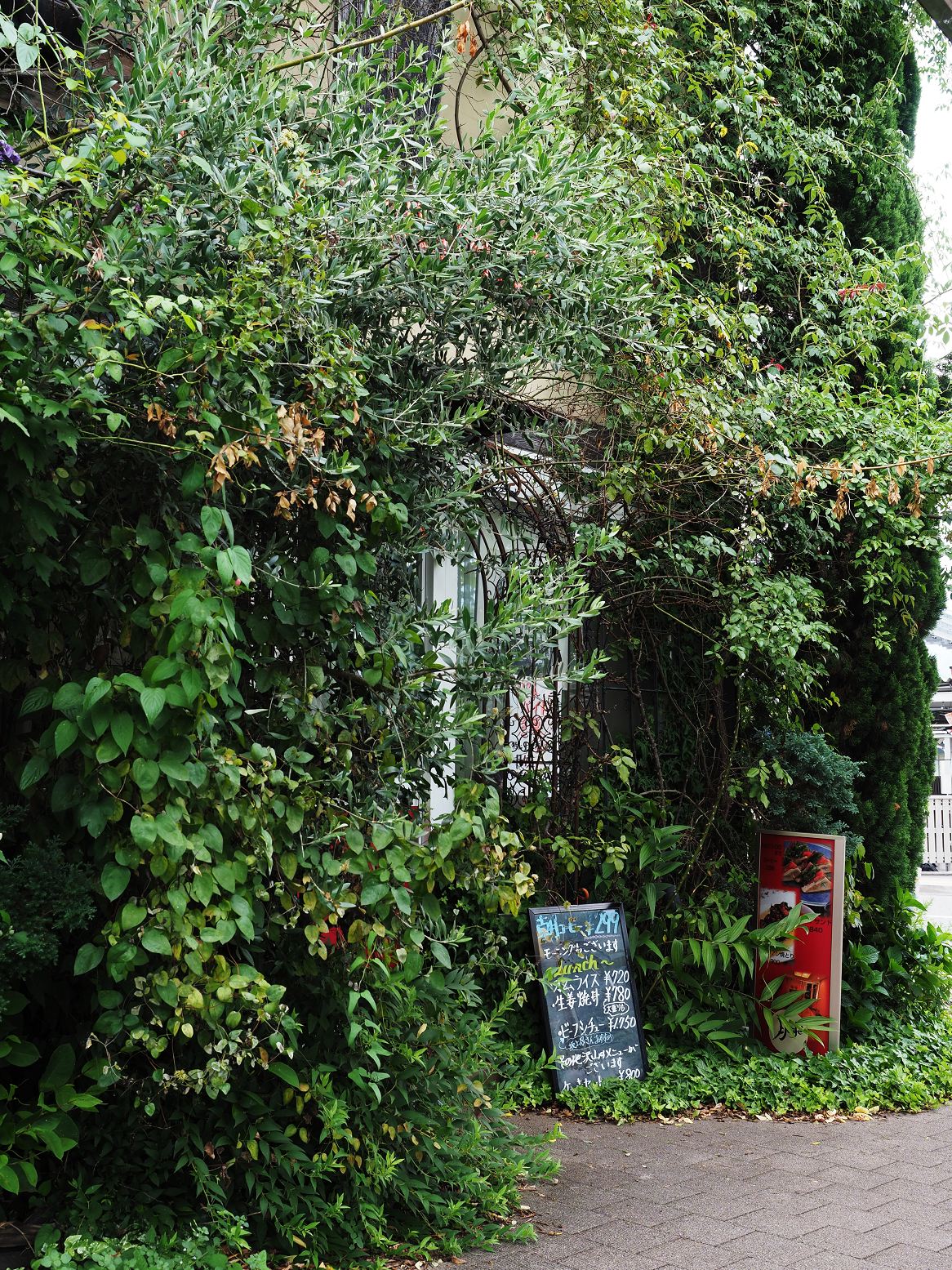 P7240780.jpg