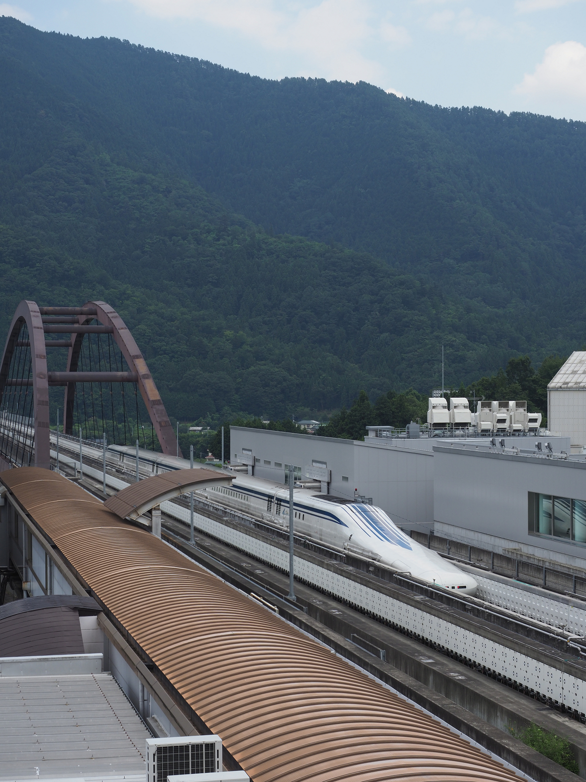 P7240784.jpg