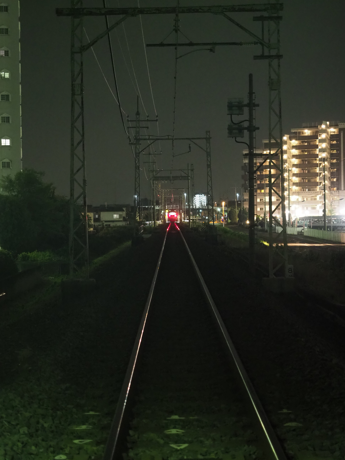P7241091.jpg