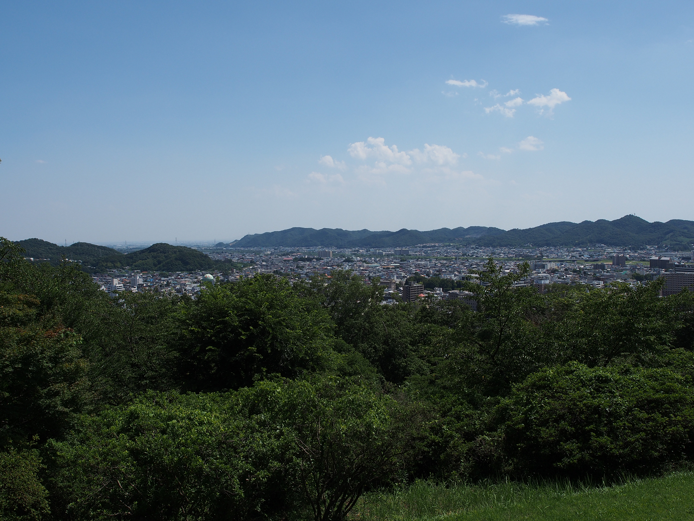 P8030002.jpg