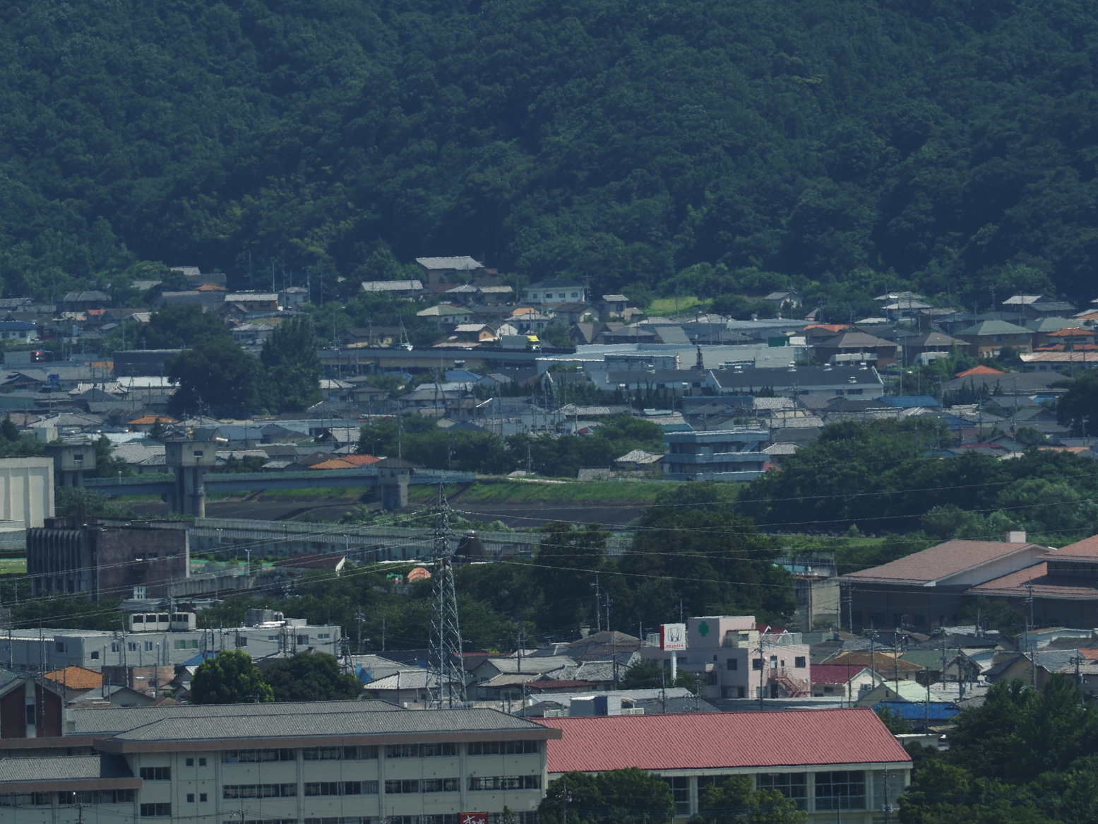 P8030005.jpg