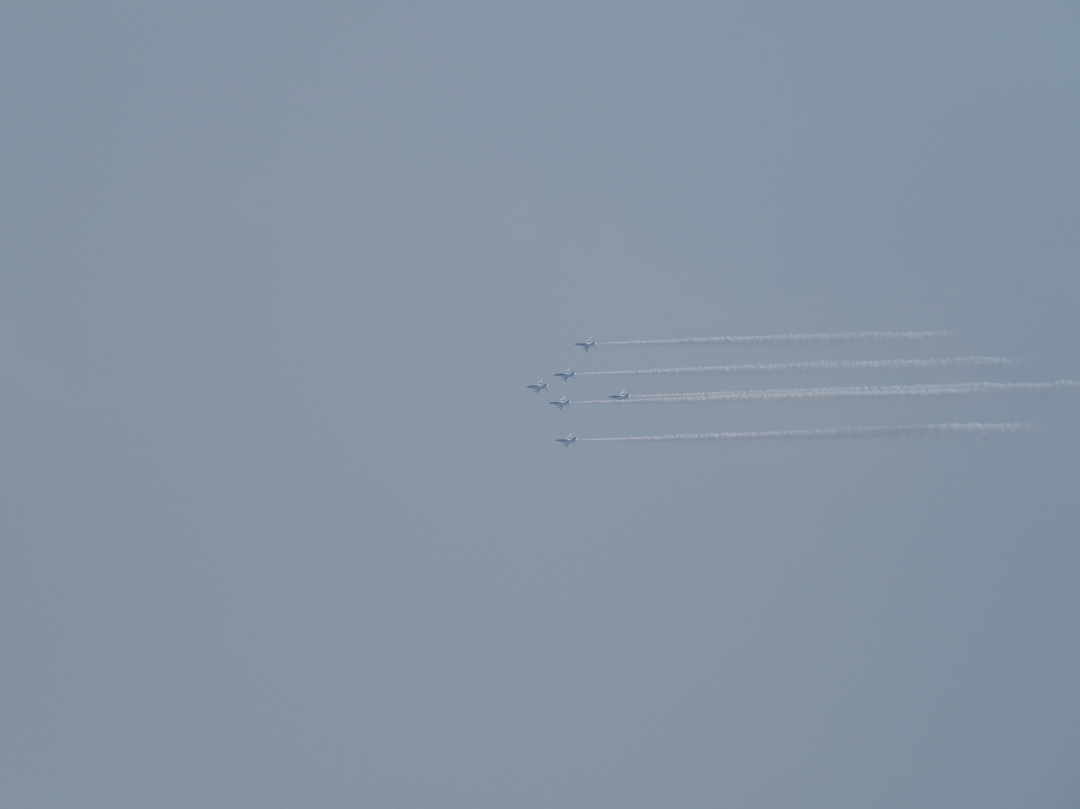 P8030182.jpg