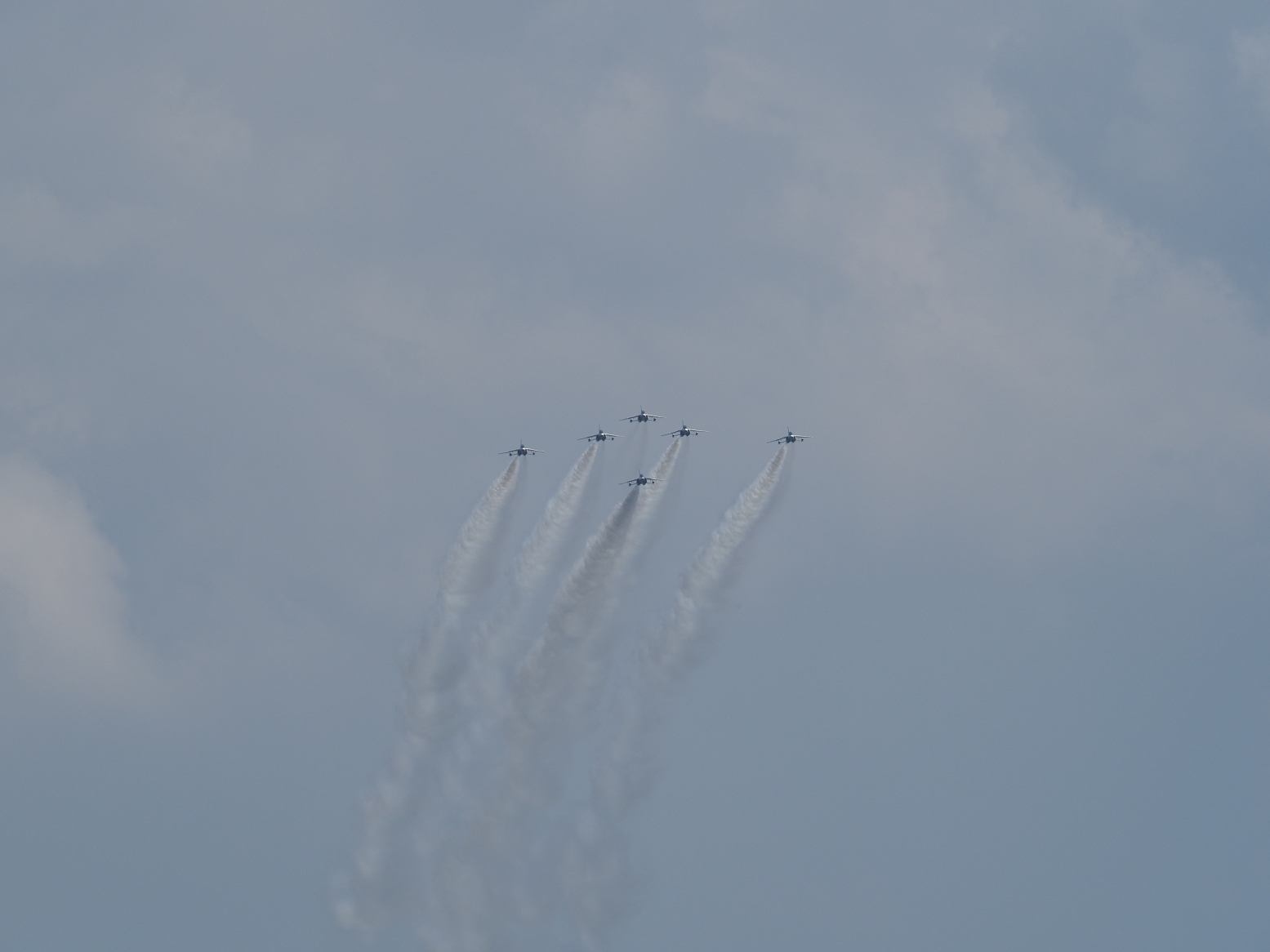 P8030242.jpg