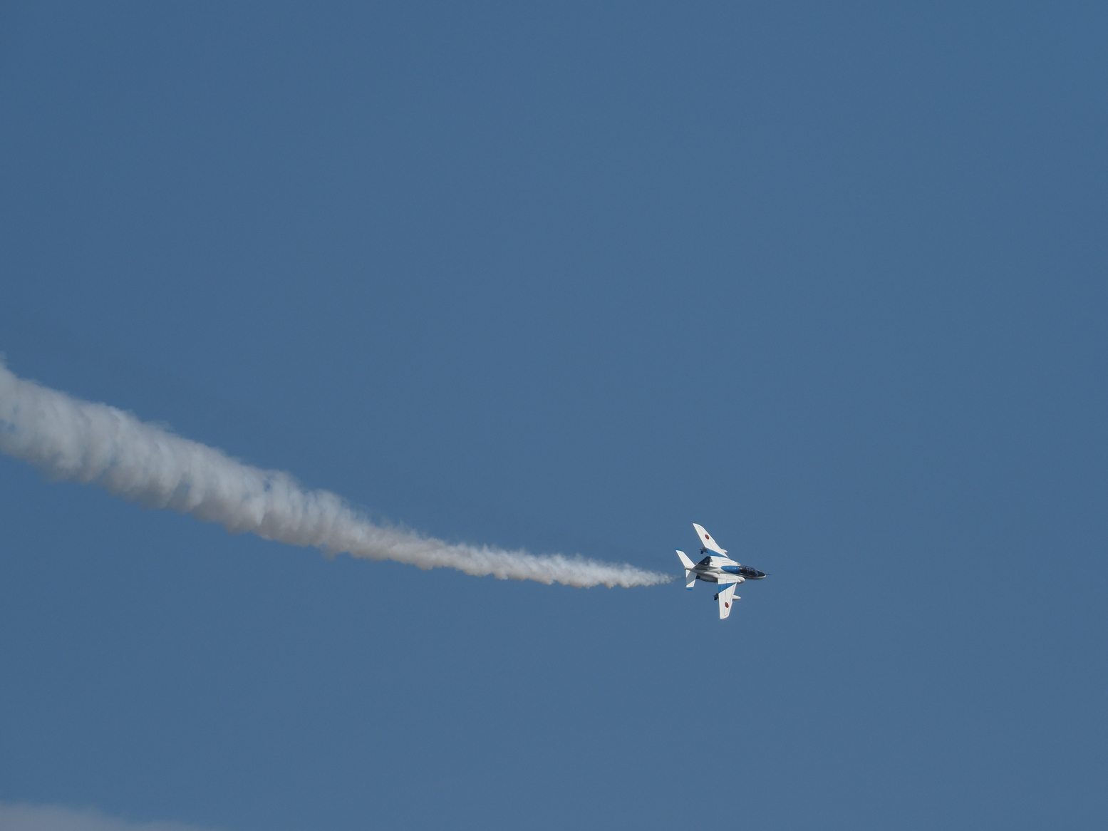 P8030510.jpg