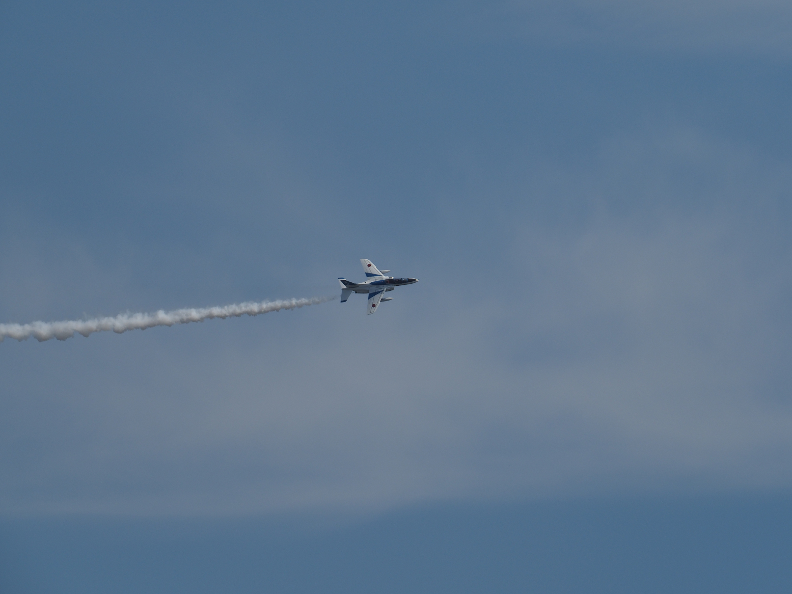 P8030554.jpg