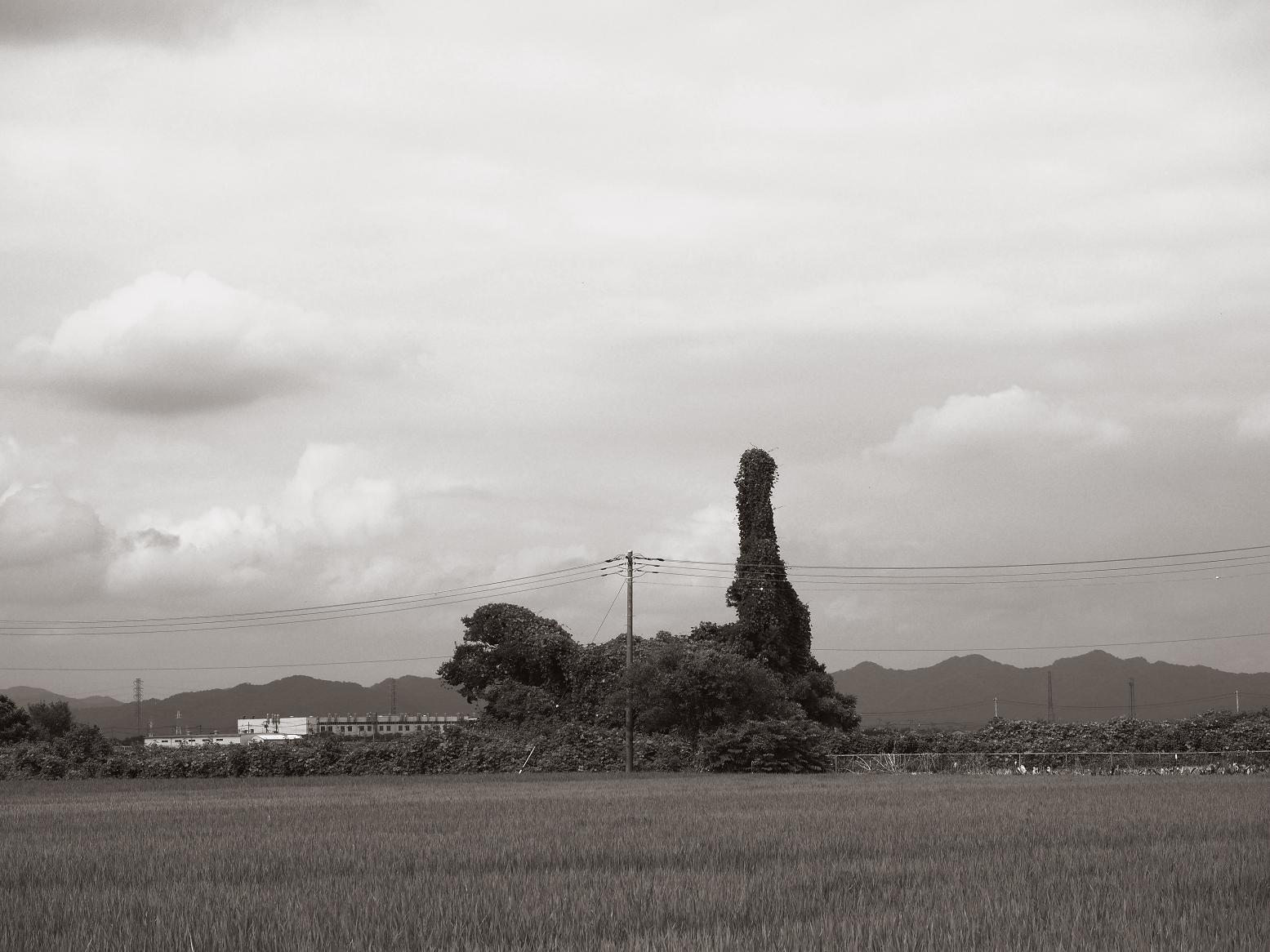 P8121043.jpg