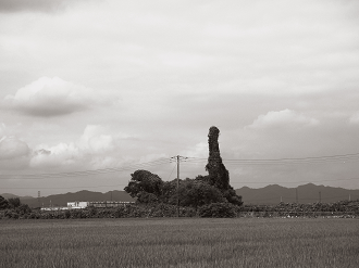 P8121043_thumb.png
