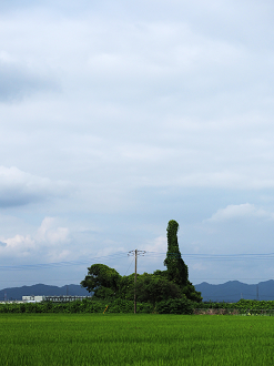 P8121044_thumb.png