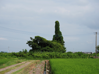 P8121046_thumb.png