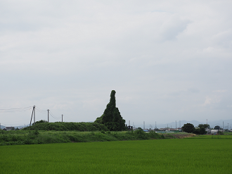 P8121051_thumb.png