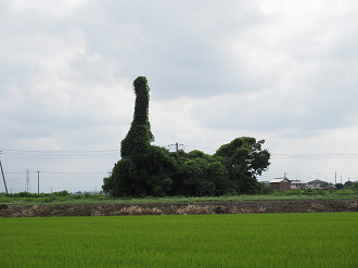 P8121053_thumb.png
