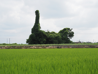 P8121057_thumb.png