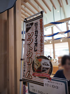 P8181103_thumb.png