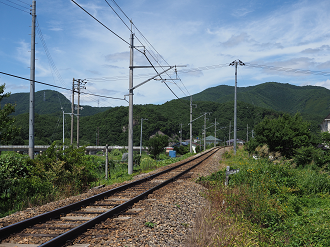 P8181115_thumb.png
