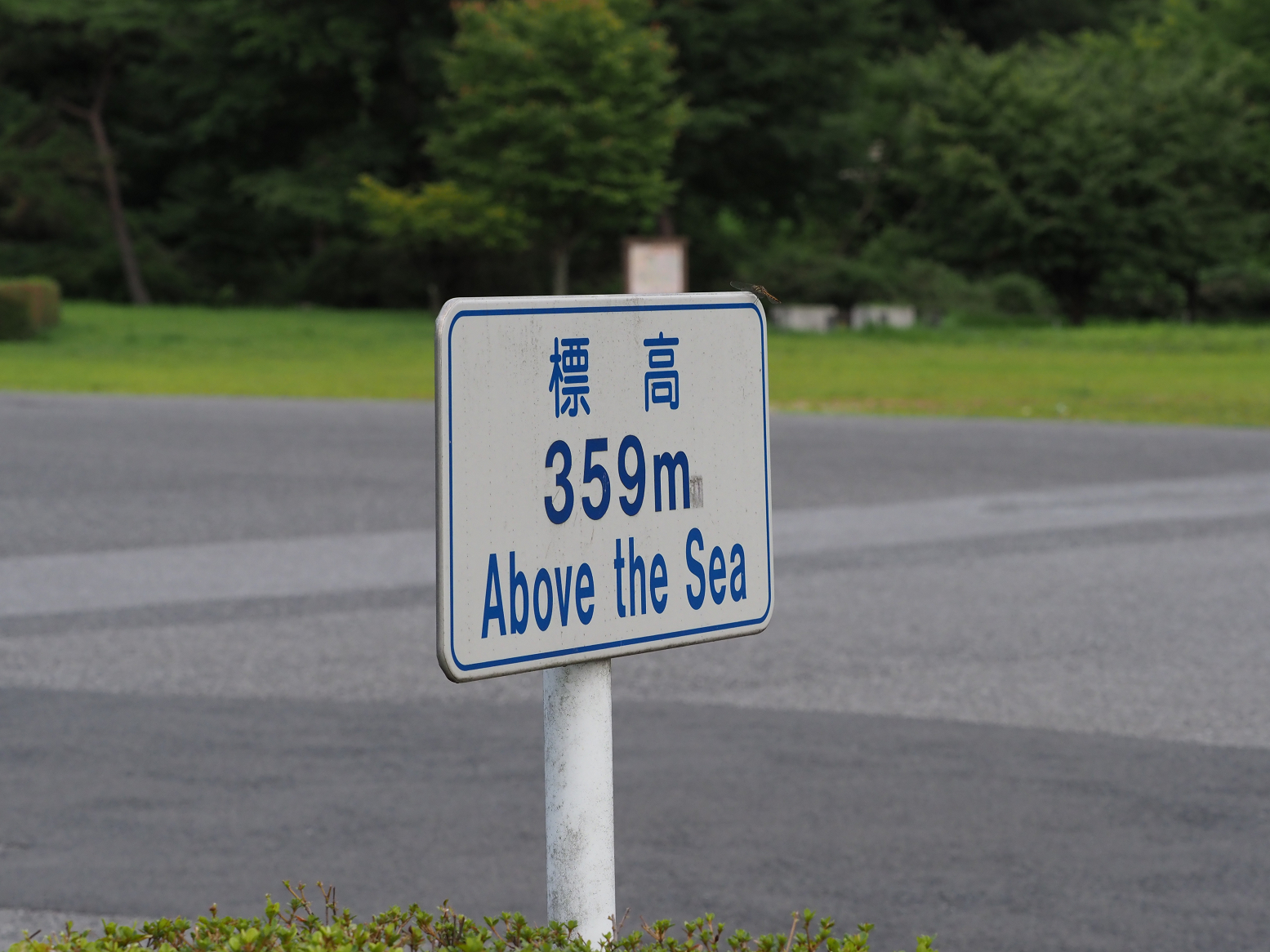 P8181211.jpg