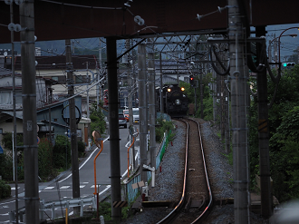 P8181277_thumb.png