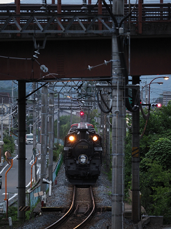 P8181324_thumb.png