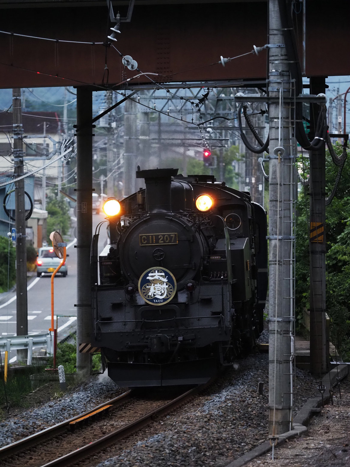 P8181350.jpg