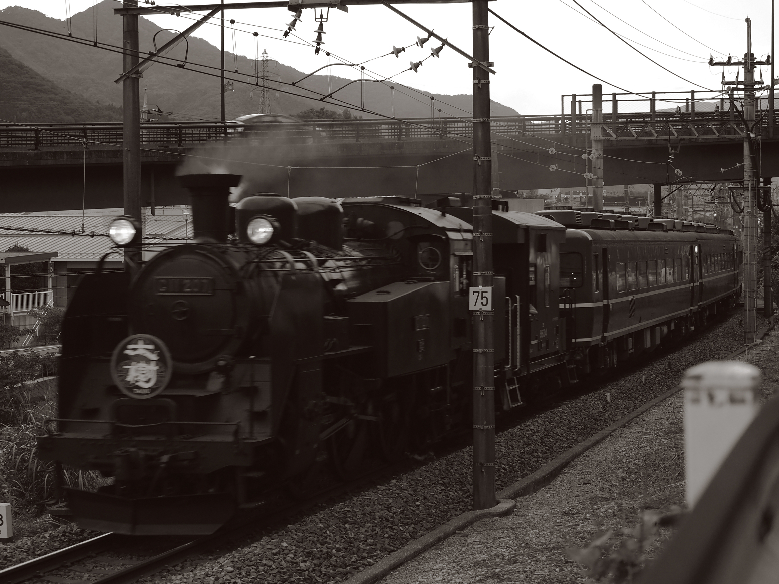 P8181352.jpg