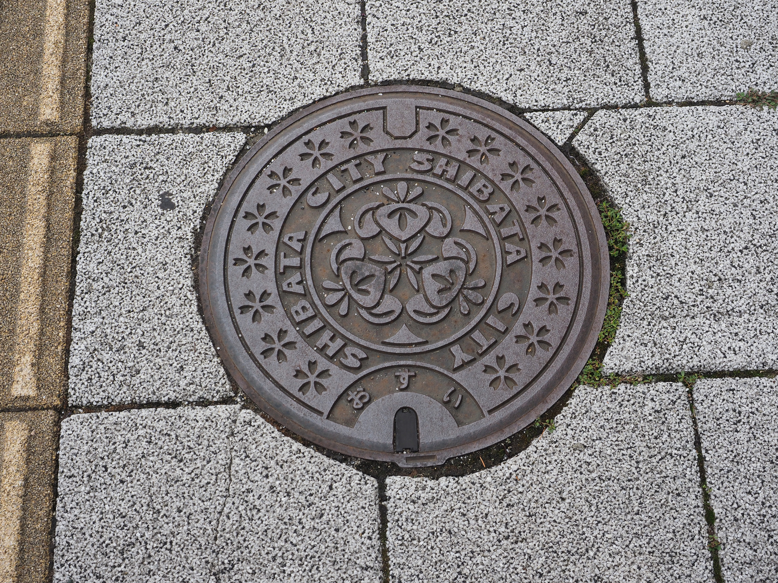 P9160025.jpg