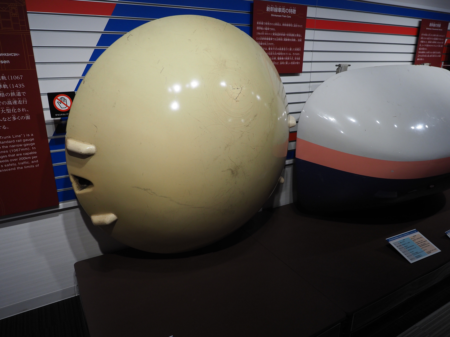 P9160177.jpg