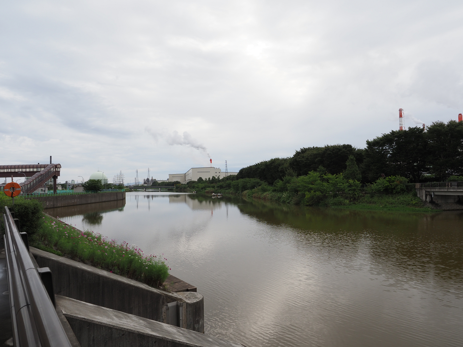 P9170231.jpg