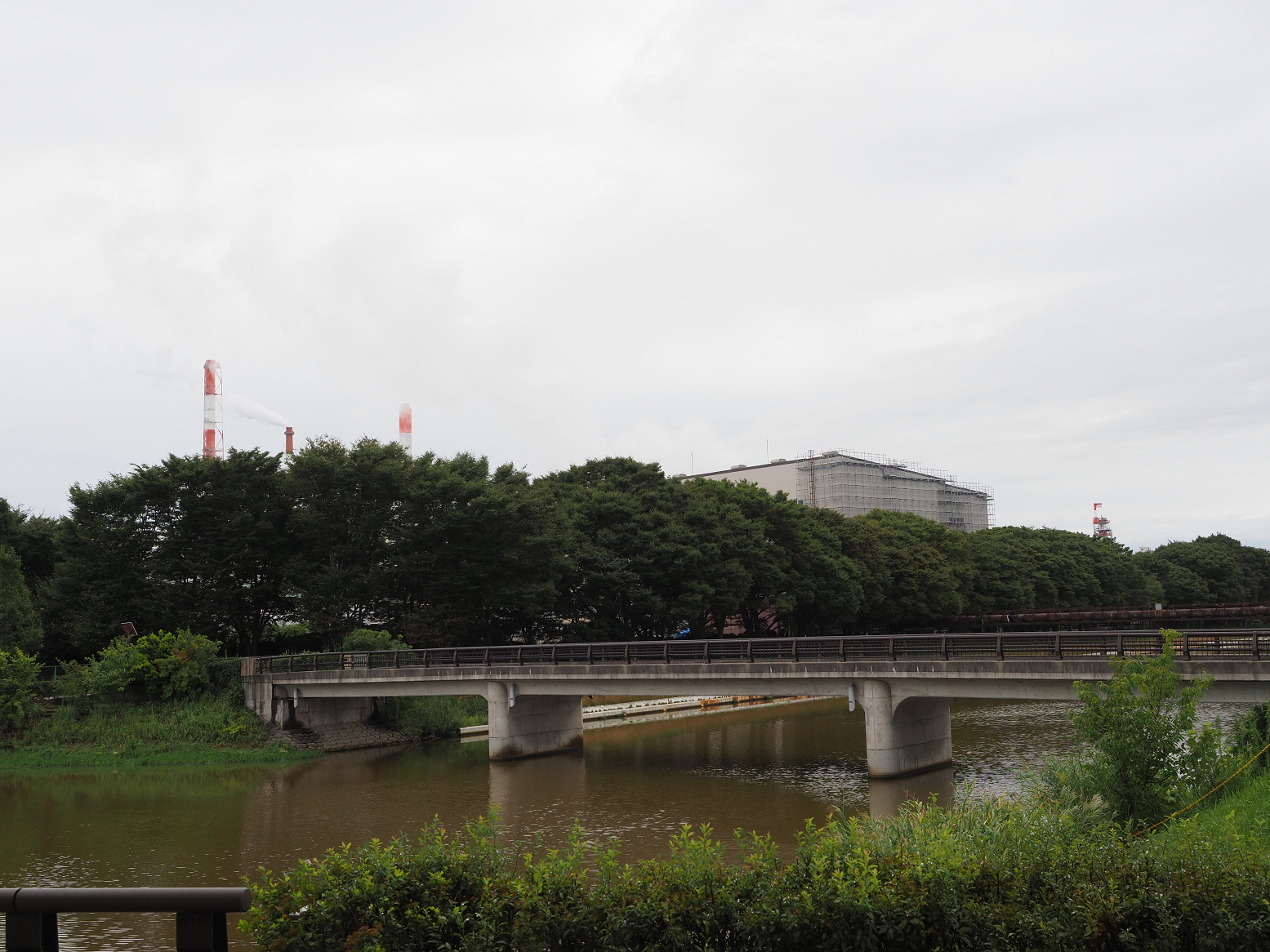 P9170234.jpg