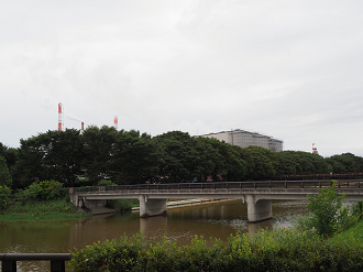 P9170234_thumb.png
