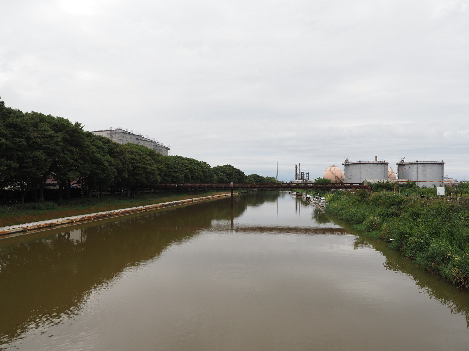 P9170241.jpg