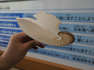 P9170254_thumb.png