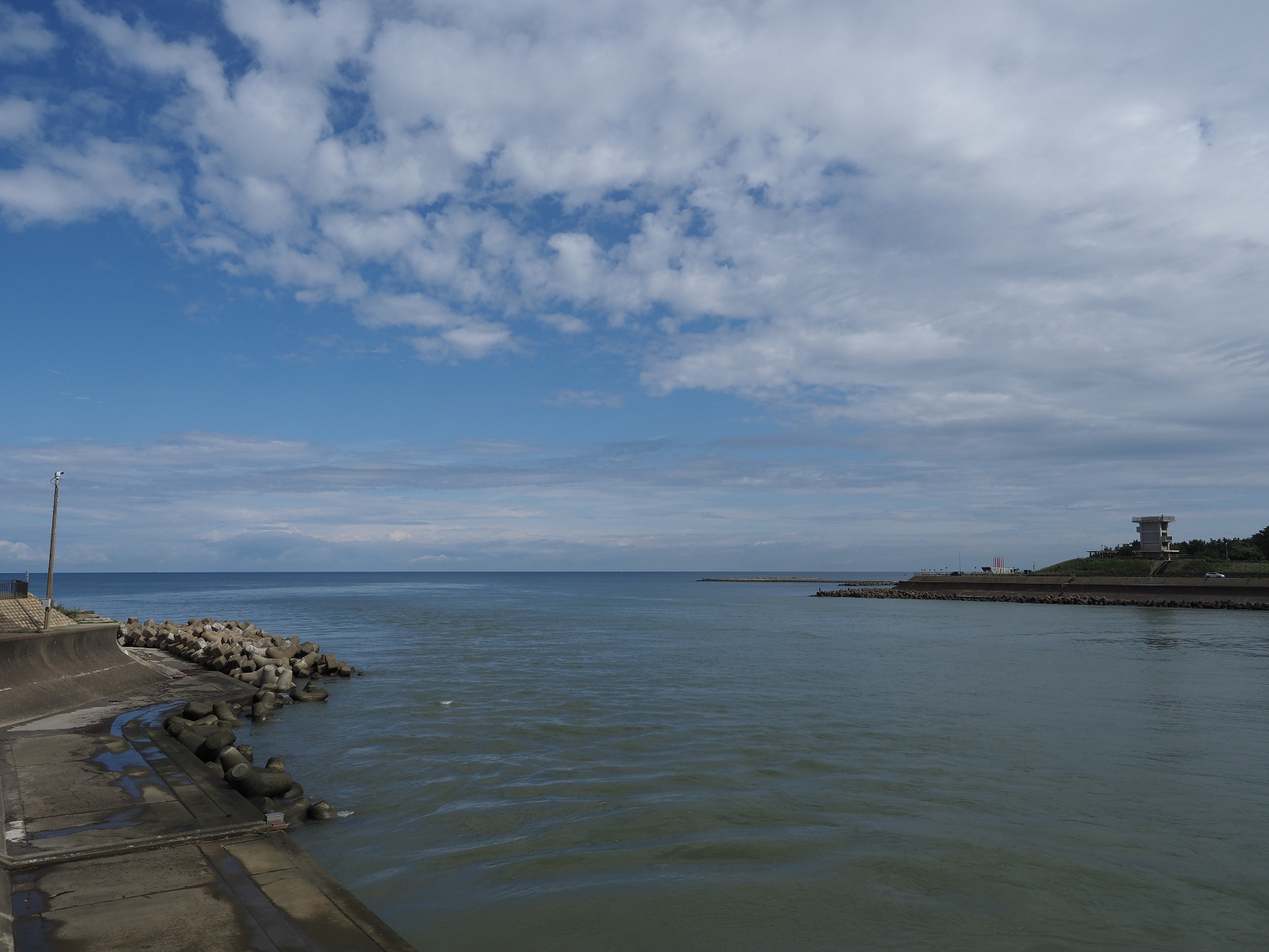 P9170267.jpg
