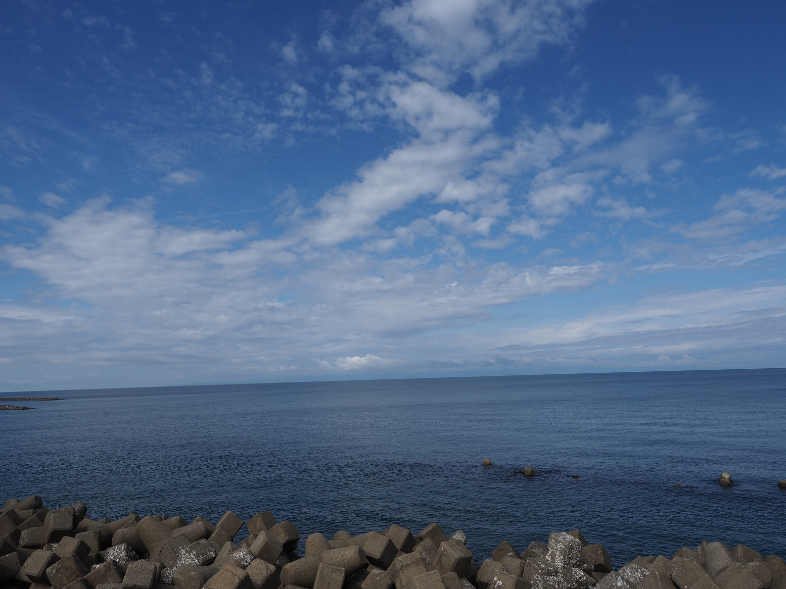 P9170272.jpg