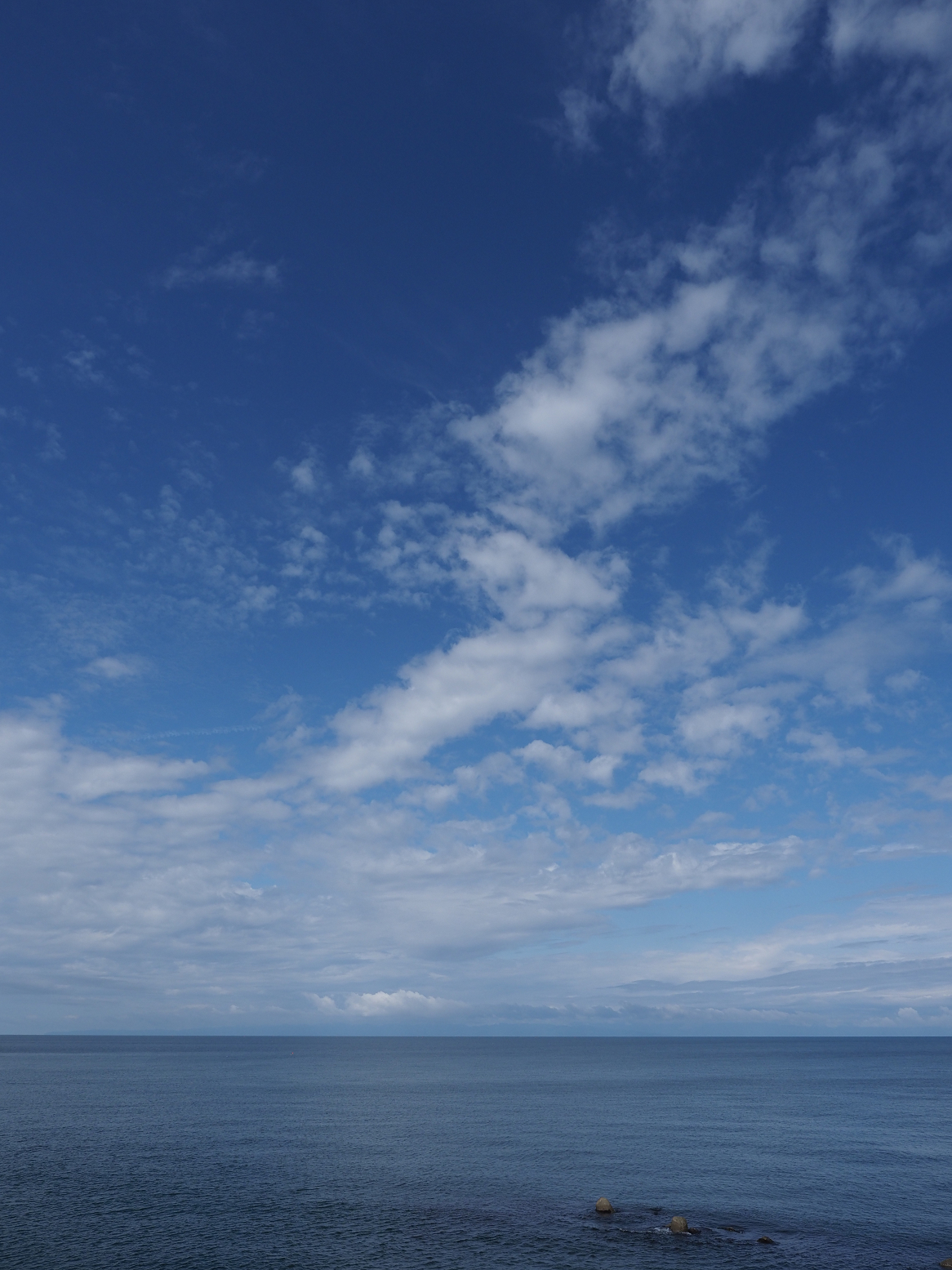 P9170273.jpg