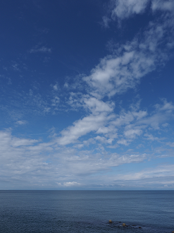 P9170273_thumb.png