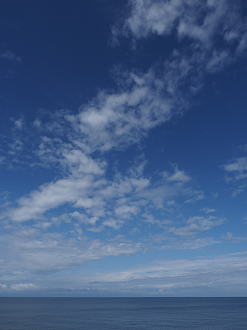 P9170274_thumb.png