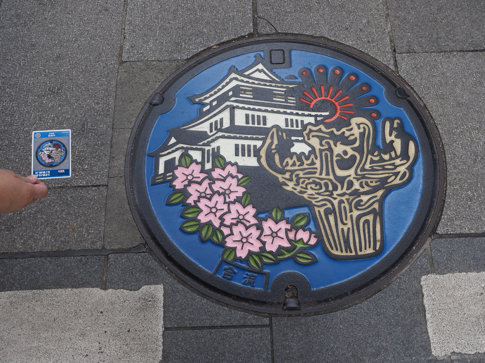 P9170340.jpg