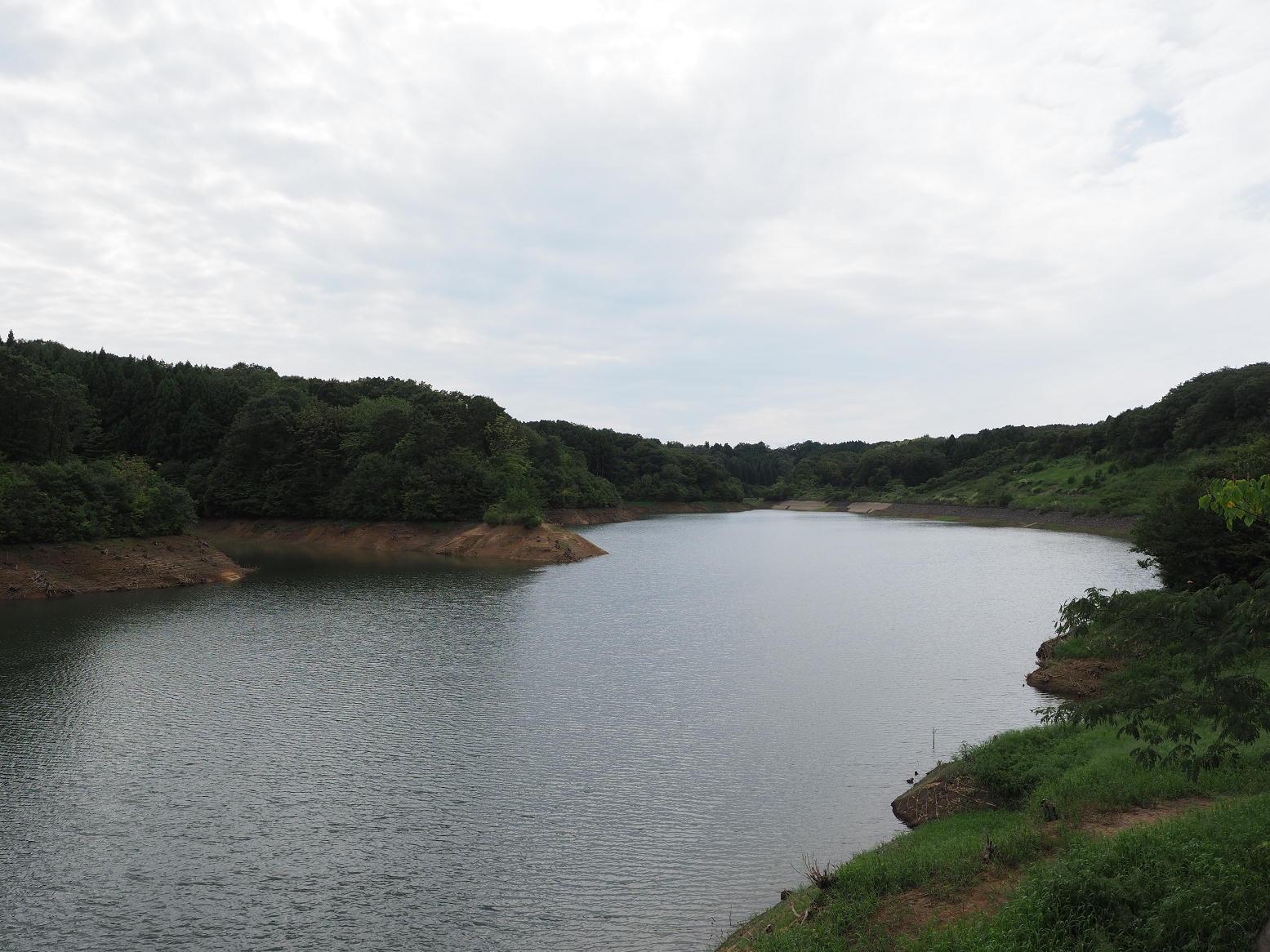 P9170355.jpg