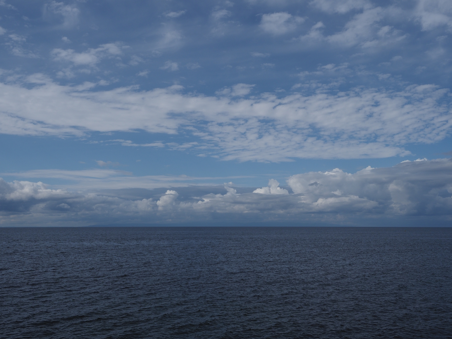 P9170363.jpg