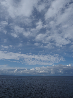 P9170364_thumb.png