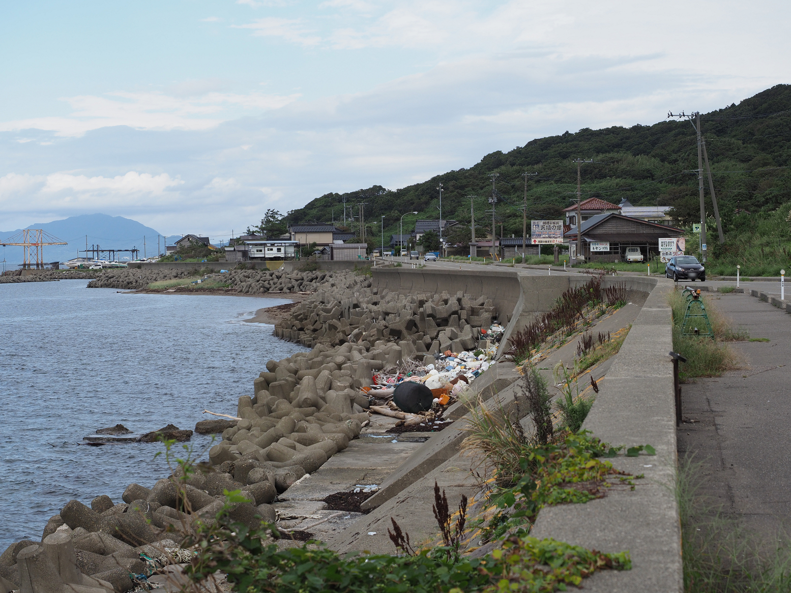 P9170367.jpg
